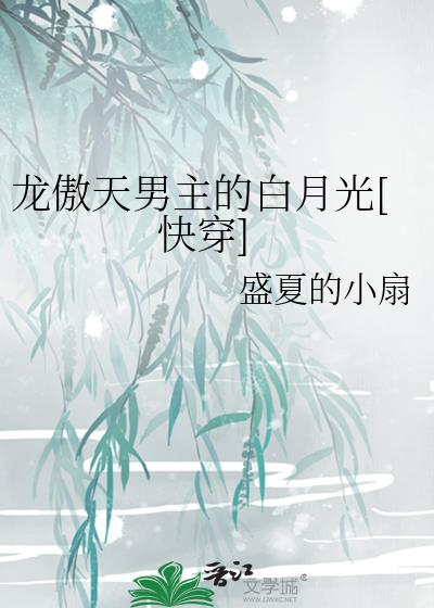 �����������İ��¹�[�촩]