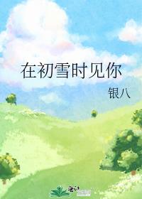 �ڳ�ѩʱ����